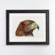 Golden Eagle Framed Black