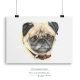 pug drawing