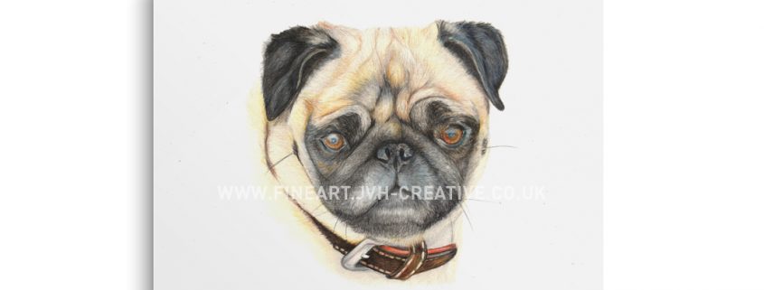 pug drawing