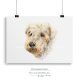 wheaten terrier drawing