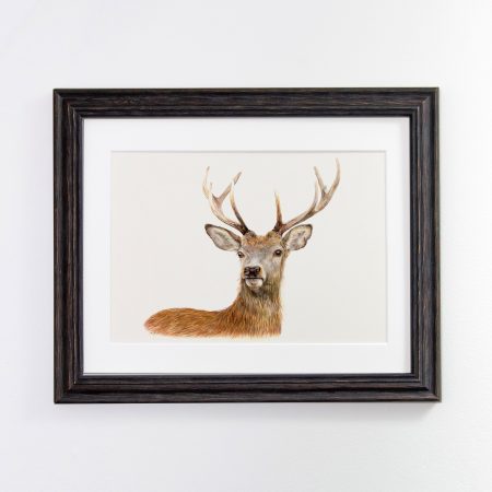 Deer Print – Derek - Image 3
