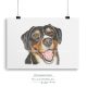 Appenzeller sennenhund drawing