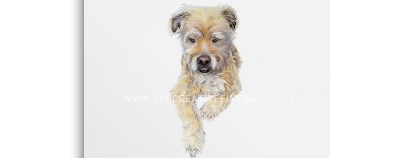 Benni Mongrel Drawing