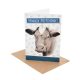 Cow Birthday card circles