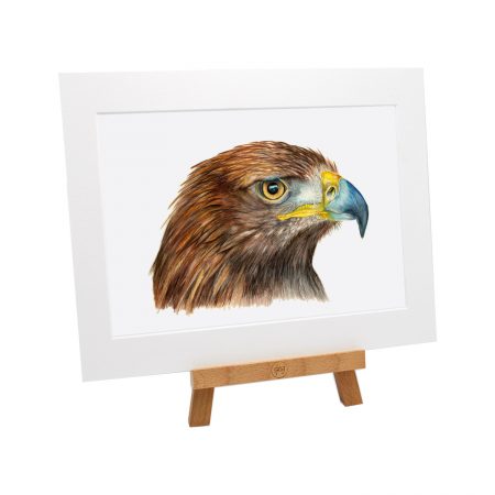 Golden Eagle Print