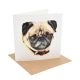 Pug Greeting card