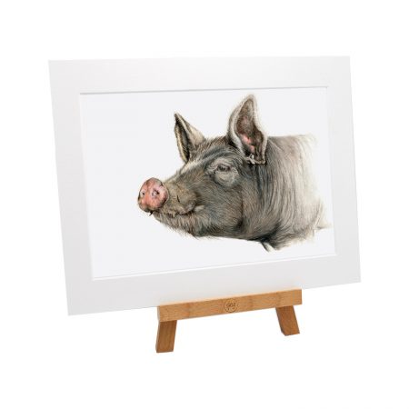 Berkshire Pig Print