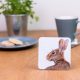 Hare coaster