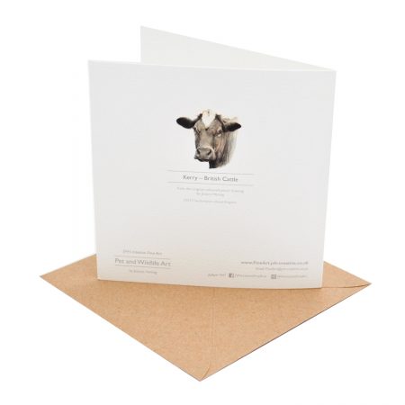 Cow Greeting Card Back