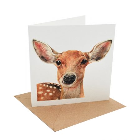 Young Deer Greeting Card