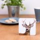 Deer Coaster