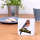 Robin Coaster