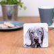 Weimaraner Coaster