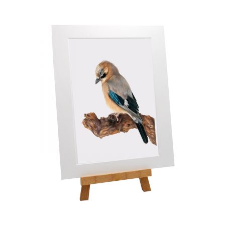 Jay Bird Print