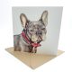 French Bulldog Greeting Card