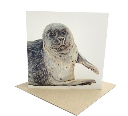 Norfolk Seal greeting Card