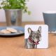 French Bulldog Coaster