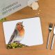Robin Tablemat out of stocl