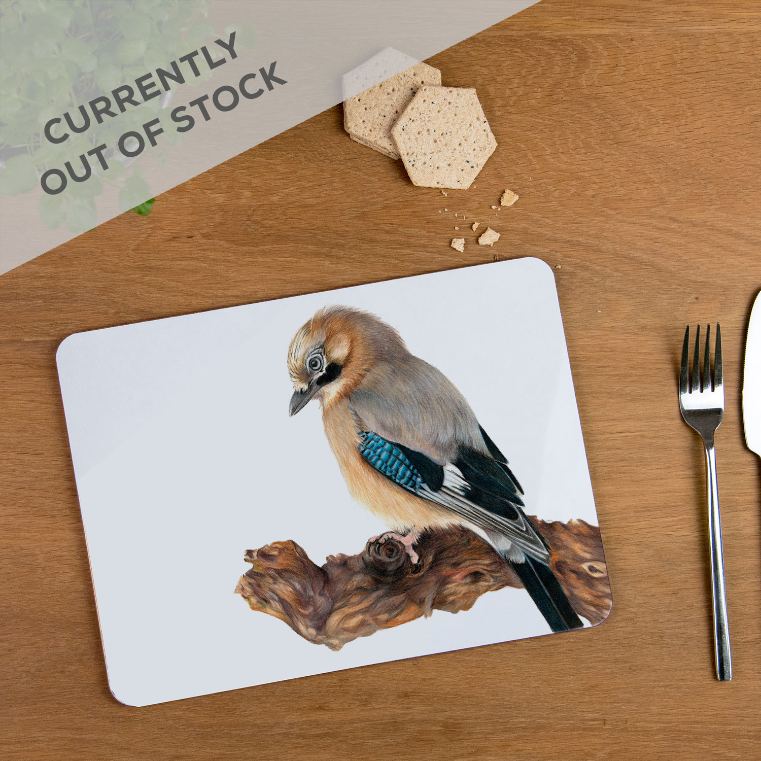 Jay Placemat – Terence