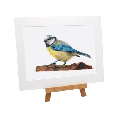 Blue Tit Print