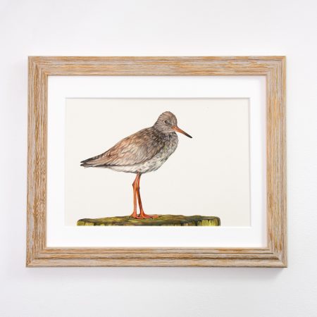 Redshank Print – Rudy - Image 3