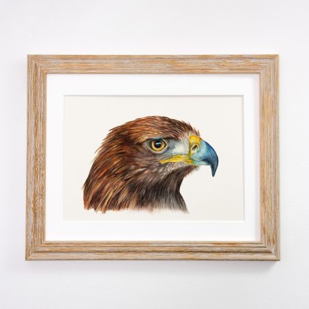 Golden Eagle Framed Tan