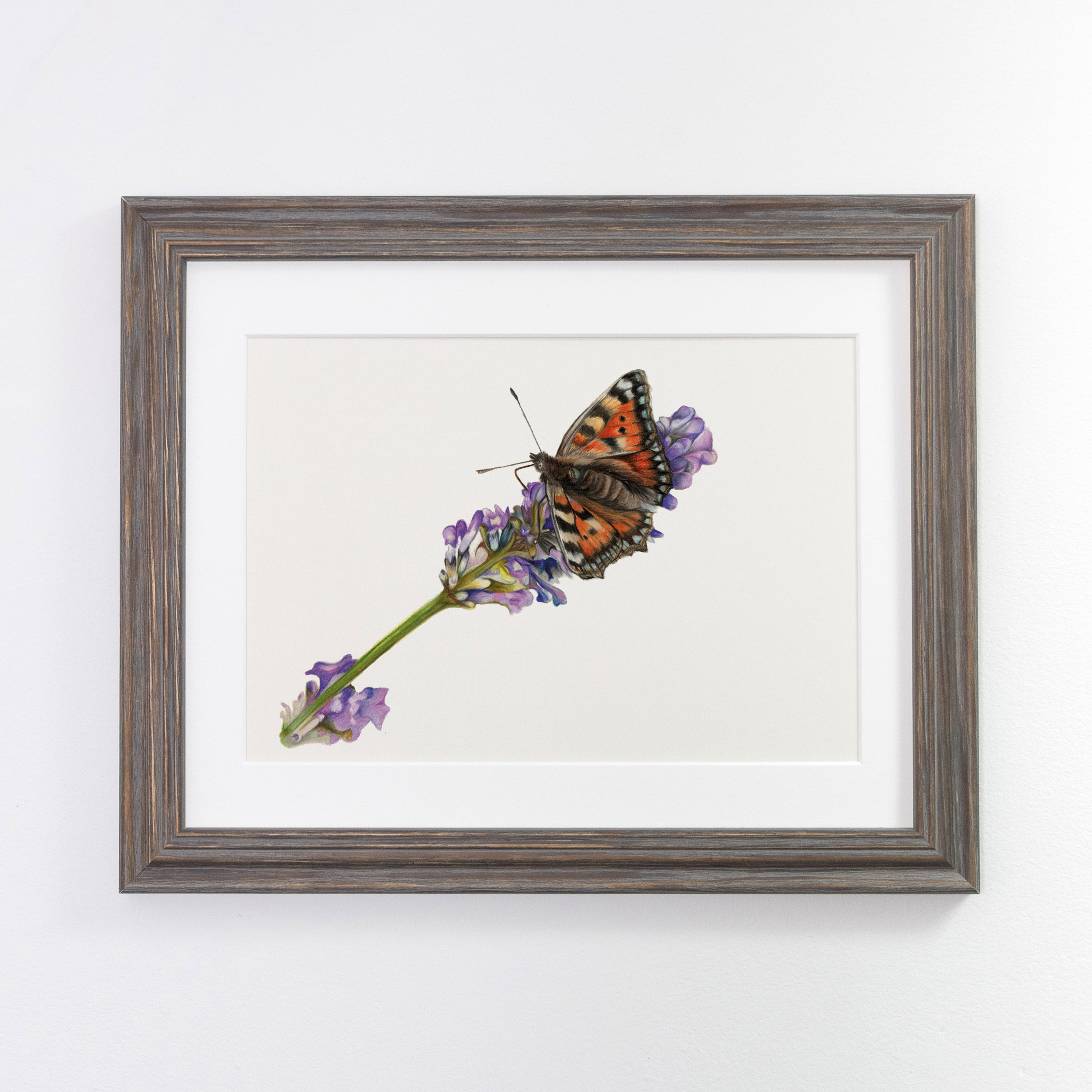 Butterfly Framed grey