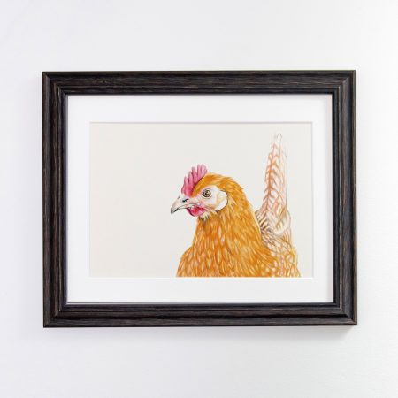 Friesian Hen Framed Black