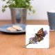 Butterfly Coaster