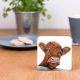 Shorthorn Cow Coaster