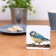 Blue Tit Coaster