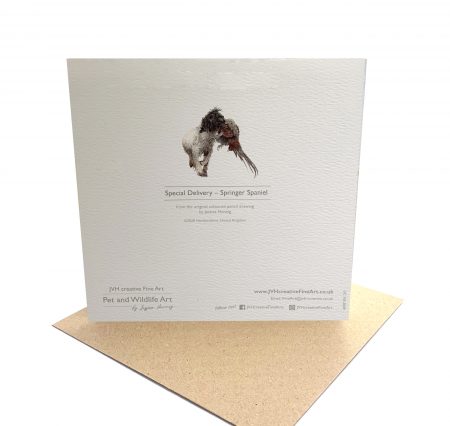 Springer Spaniel Card