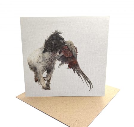 Springer Spaniel Card