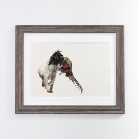 Working Spaniel Print Dark Framed