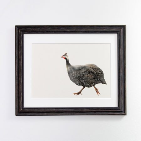 Guinea Fowl black frame