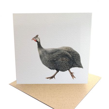 Guinea Fowl Card front