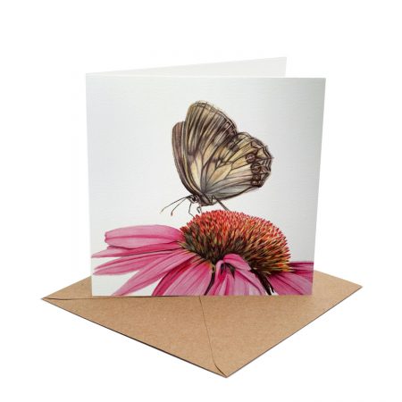 Echinacea Butterfly Greeting Card