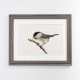 willow tit print grey frame