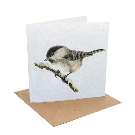 willow tit card