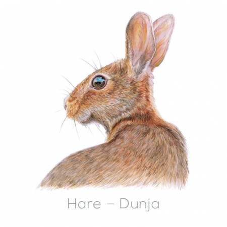 Hare – Dunja