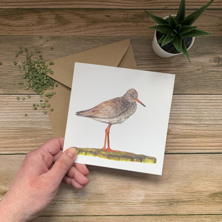Redshank Bird Card