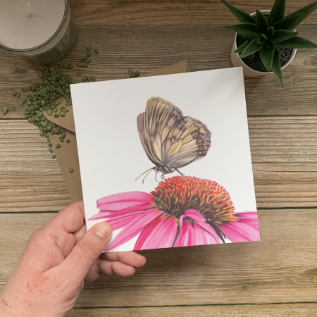 Echinacea with Butterfly Card