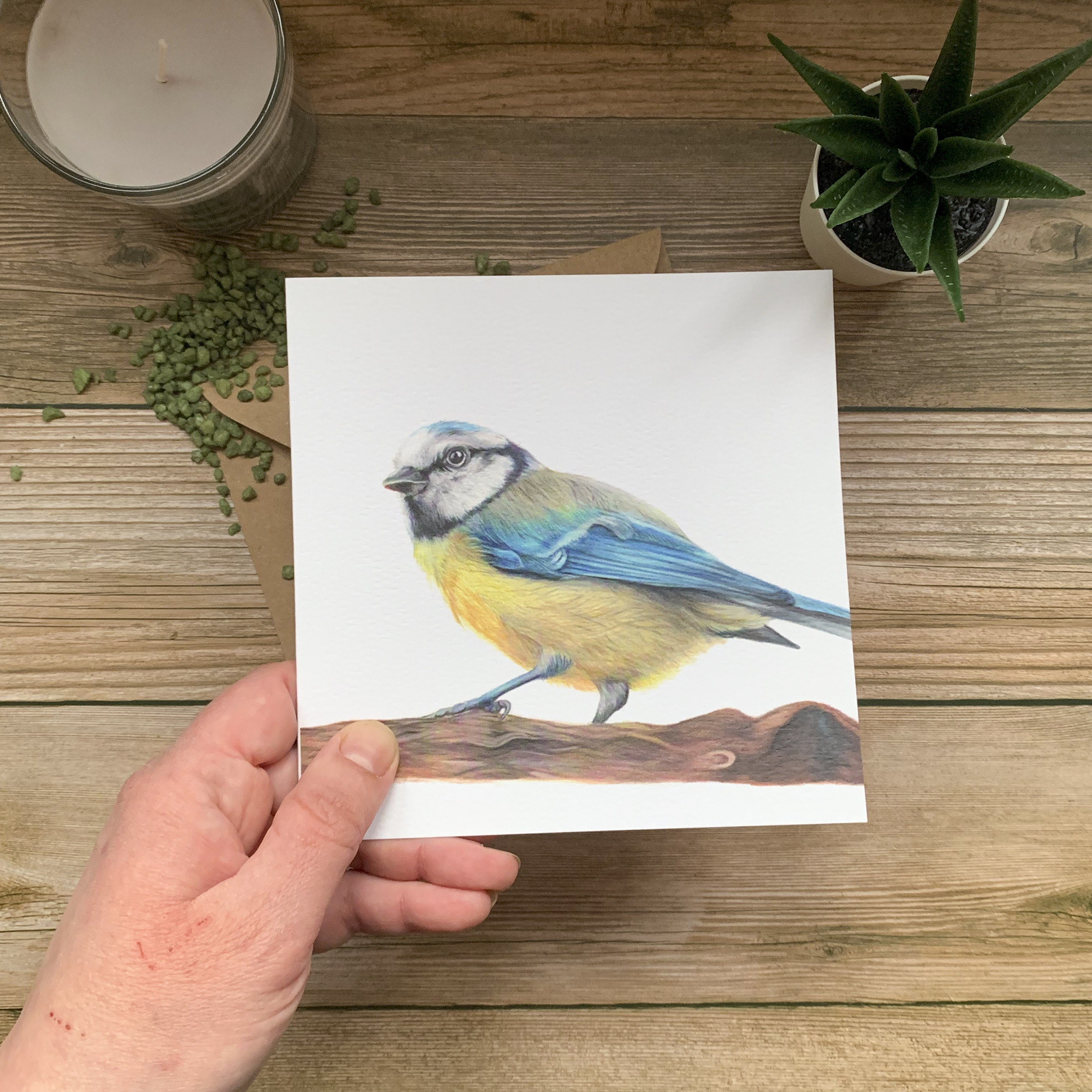 Blue Tit Card