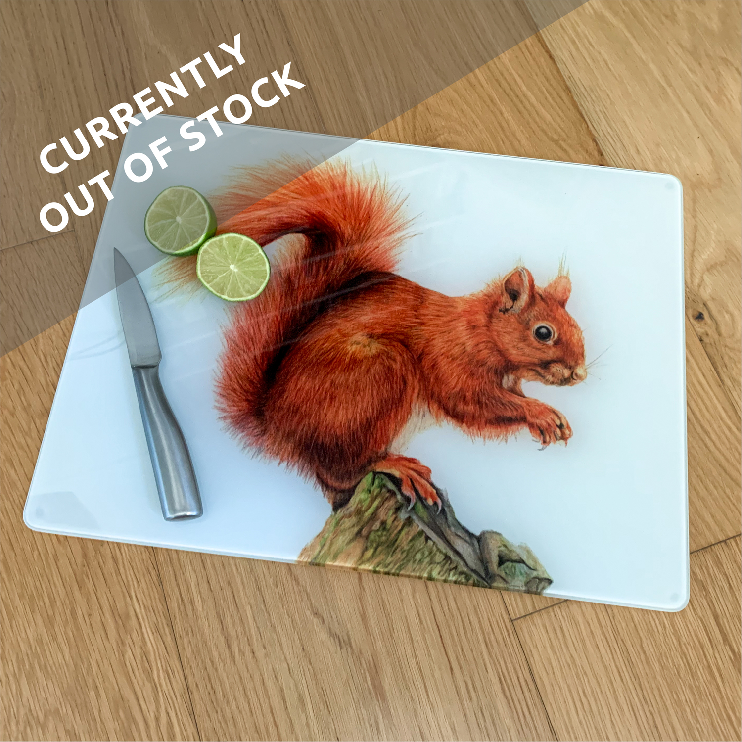 Red Squirrel Worktop Saver – Sammy