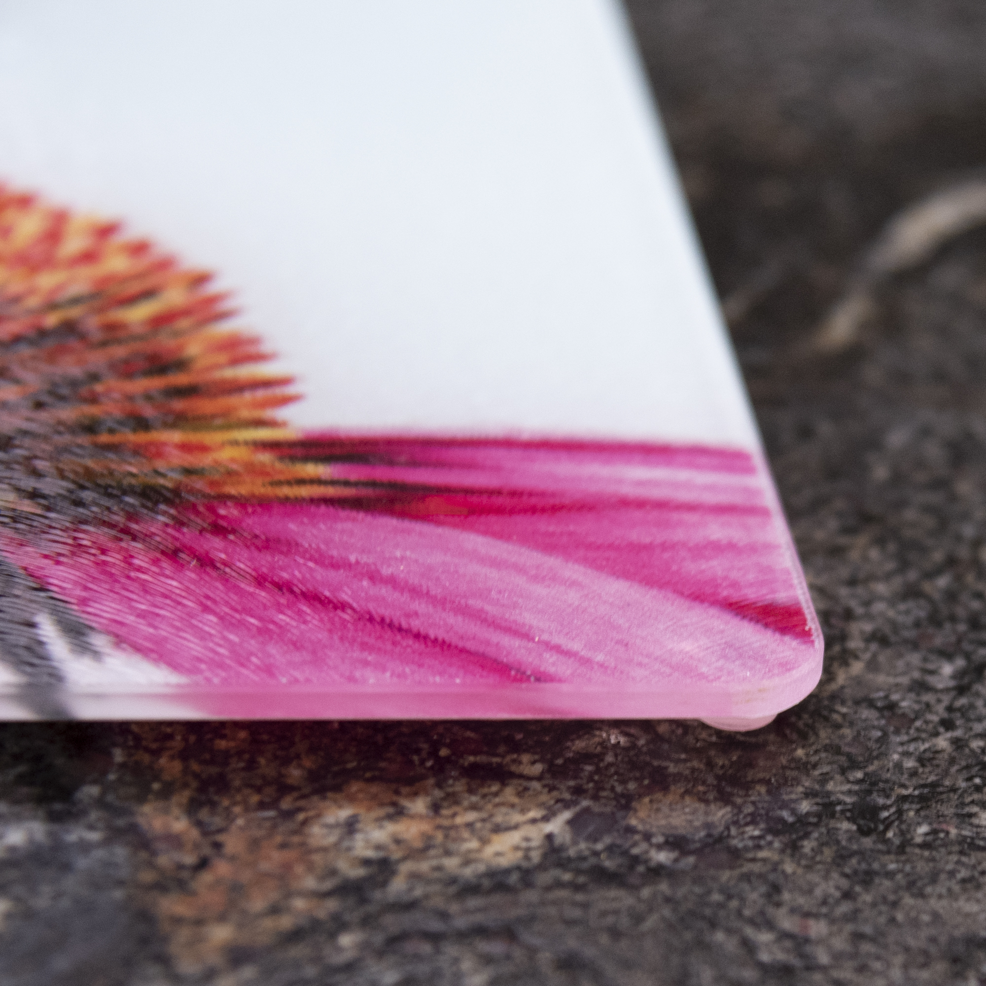 Worktop Saver Close up