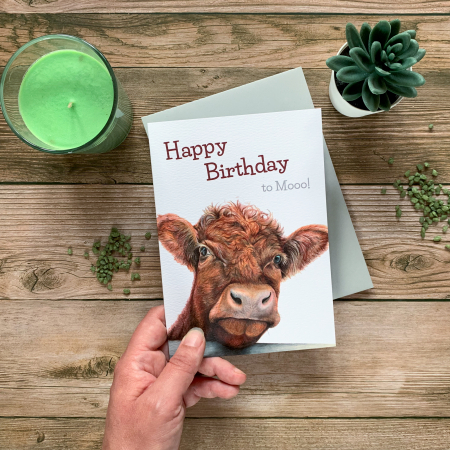 Shorthorn Cow Fun Birthday card with light grey envelope