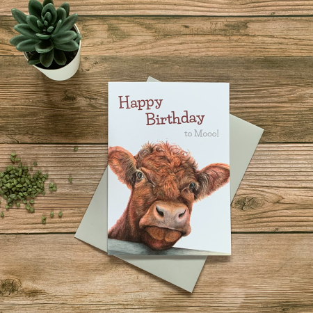 Shorthorn Cow Birthday Card – Happy Birthday to moo!