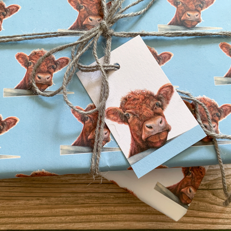 Cow, Shorthorn, Wrapping Paper – Doris - Image 3