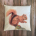Red Squirrel – Cushion Cover