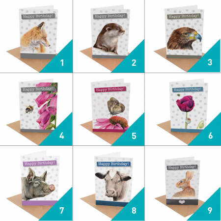 Pick and Mix Card Offer – Birthday, Good Luck and Pawsome Cards - Image 2